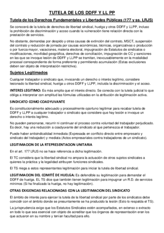 7-TUTELA-DE-LOS-DERECHOS-FUNDAMENTALES-Y-LIBERTADES-PUBLICAS.pdf
