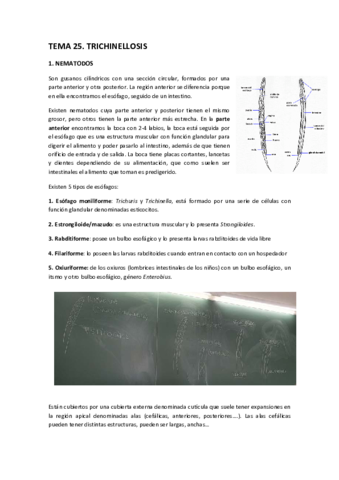 TEMA-25-TRICHINELLOSIS.pdf