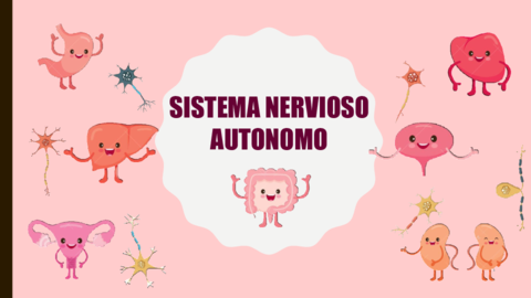 Anatomia-humana-II-Sistema-nervioso-vegetativo-.pdf
