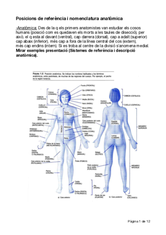 Estudi-del-cos-huma.pdf