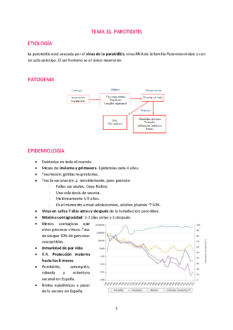 T31-Parotiditis.pdf
