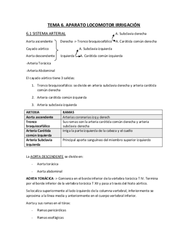 Tema-6-ANATOMIA-Aparato-locomotor-irrigacion.pdf