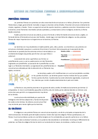 proteinas-fibrosas-e-inmunoglobulinas.pdf