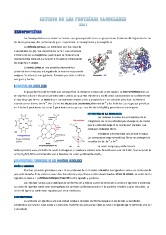 estudio-de-las-proteinas-globulares.pdf