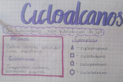 CICLOALCANOS.pdf
