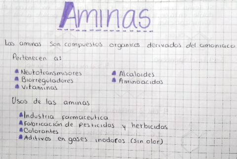 NOMENCLATURA-DE-AMINAS.pdf