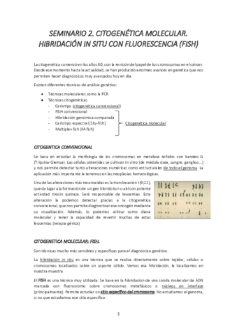 Seminario-2-genetica.pdf