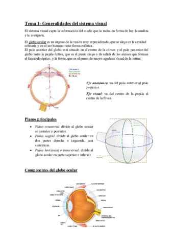 TEMA 1 (generalidades del sistema visual).pdf