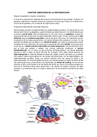 Control-endocrino-de-la-reproduccion.pdf