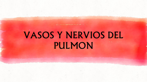 Vasos-y-nervios-de-pulmon-.pdf