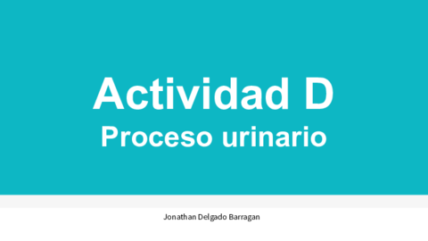 Proceso-urinario.pdf