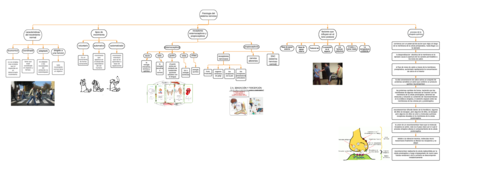 diagrama-fisiologia-del-sistema-nervioso.pdf