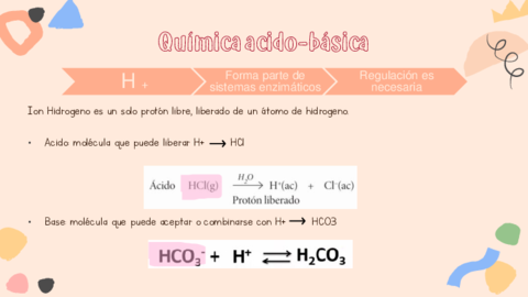 Sistema-del-bicarbonato-.pdf