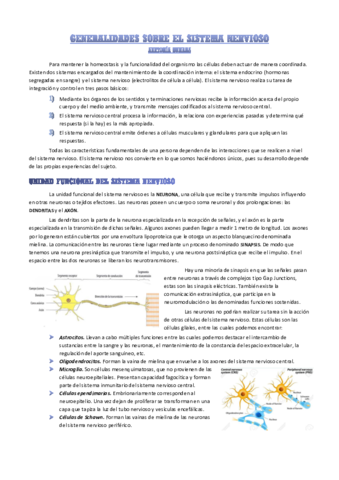 generalidades-del-sistema-nervioso.pdf