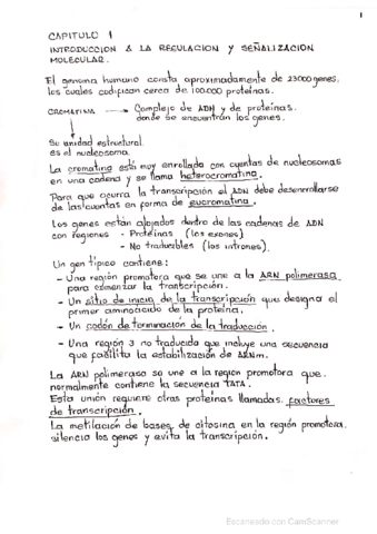 Capitulo-1-de-embriologia-de-Langman.pdf
