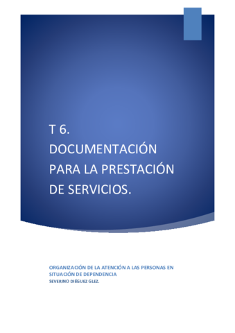 T6-Documentacion-para-la-prestacion-de-servicios.pdf