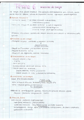 TEMA-6.pdf