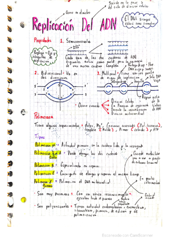 Replicacion-ADN-biologia.pdf