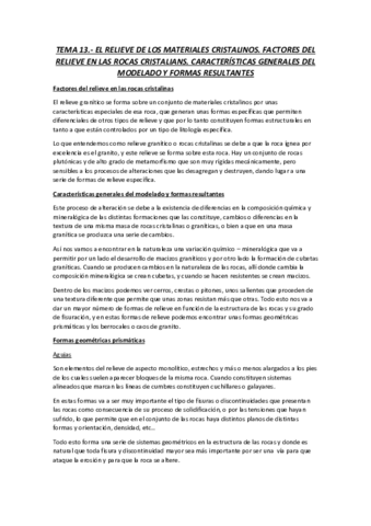 TEMA-13.pdf