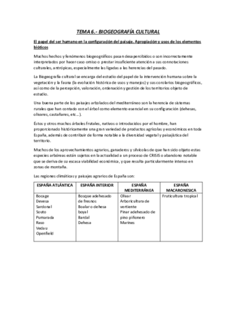 TEMA-6.pdf