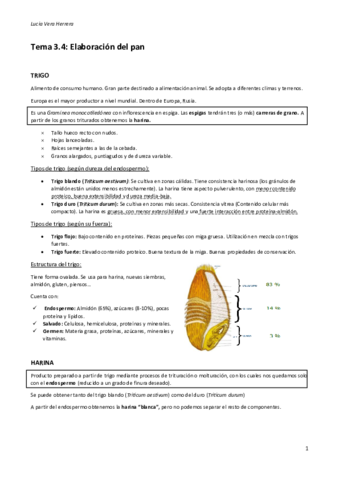 Tema 3.4 Elaboración del pan.pdf