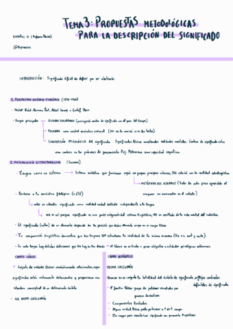 Apuntes-tema-3-descripcion-del-significado-Patricia.pdf