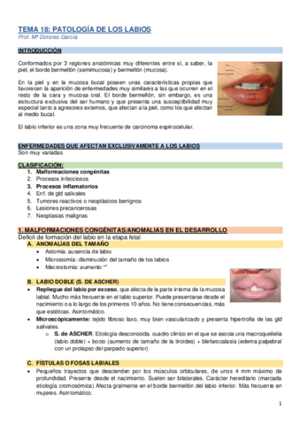 TEMA-18-patologia-de-los-labios.pdf