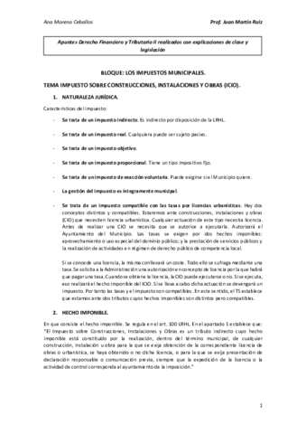 Tema-ICIO.pdf