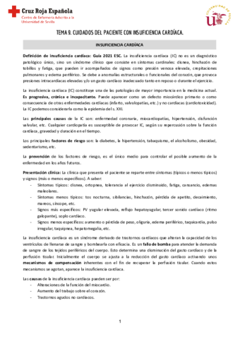 Tema-9-Clinica-I-3.pdf