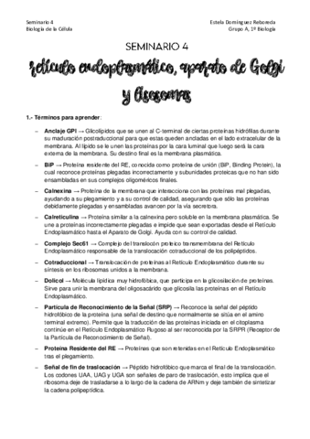Seminario-4.pdf
