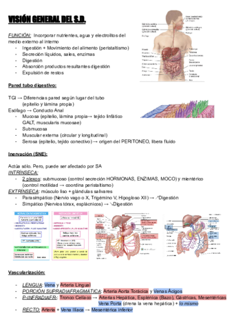 SISTEMA-DIGESTIVO-RESUMEN.pdf