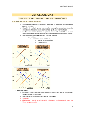 TEMA-5-MICROECONOMIA-II-1.pdf