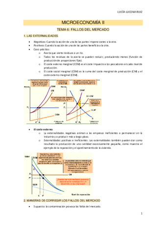 TEMA-6-MICROECONOMIA-II.pdf