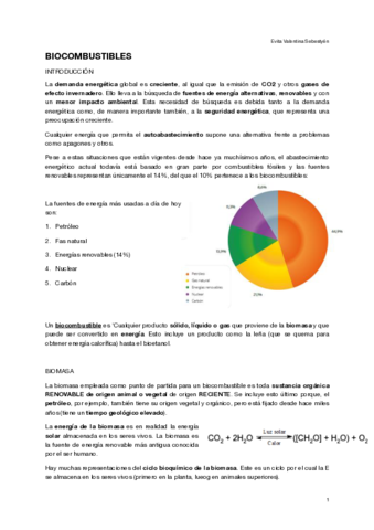 Biocombustibles.pdf