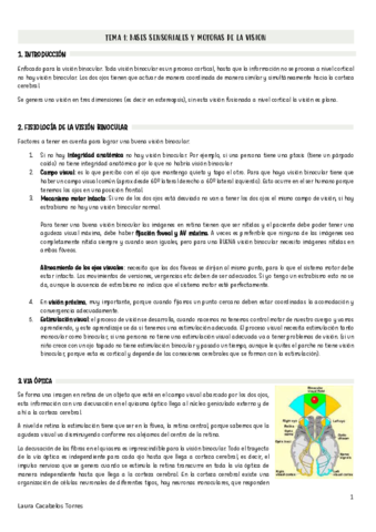 Apuntes-Optometria.pdf