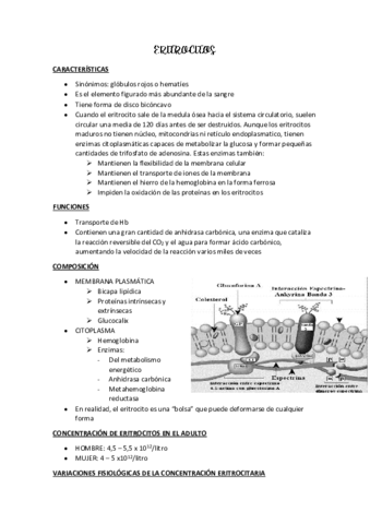 RESUMEN-ERITROCITOS-HIERRO-B12-AC-FOLICO-Y-GRUPOS-SANGUINEOS.pdf