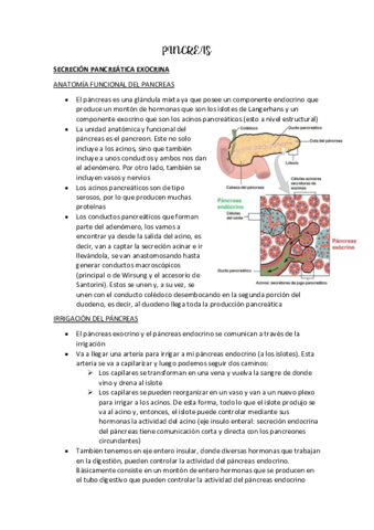 PANCREAS-E-HIGADO.pdf