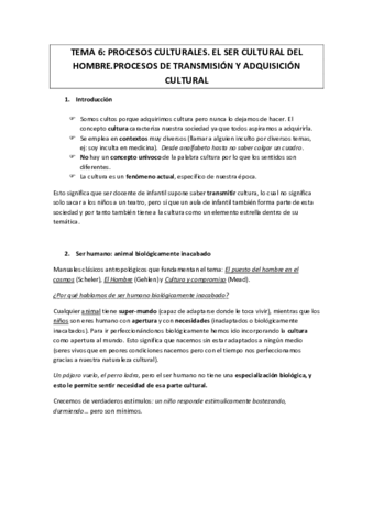 TEMA-6.pdf