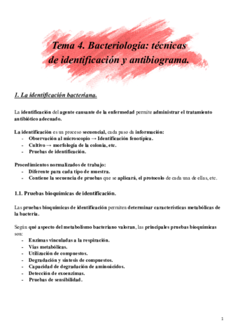 Tema-4.pdf