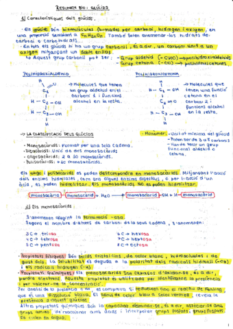 1BTX-BIOLOGIA-GLUCIDS.pdf