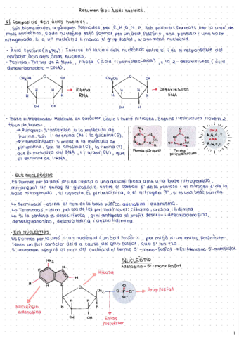 1-BTX-BIOLOGIA-Acids-nucleics.pdf