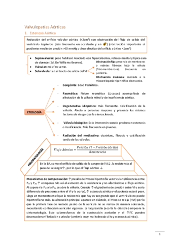 Esquema-Resumen-Valvulopatias-Cardio.pdf