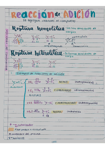 Reacciones-de-Adicion.pdf