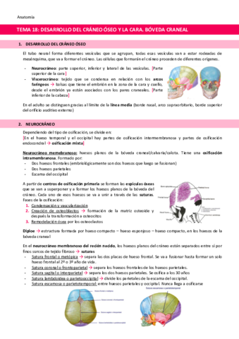 TEMA-18-Desarrollo-del-craneo-oseo-y-la-cara.pdf