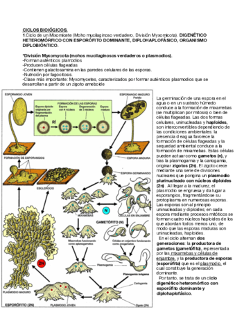 CICLOS-BIOLOGICOS-pdf-1.pdf