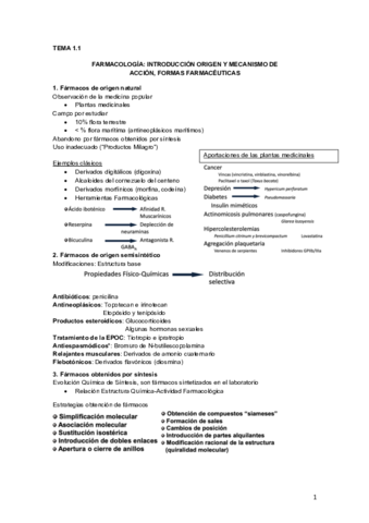 Tema 1.Principios generales 