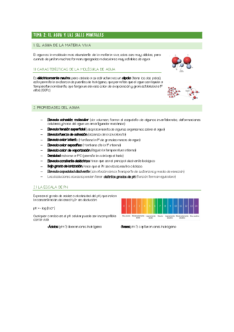 CHULETARIO-TEMA-2.pdf