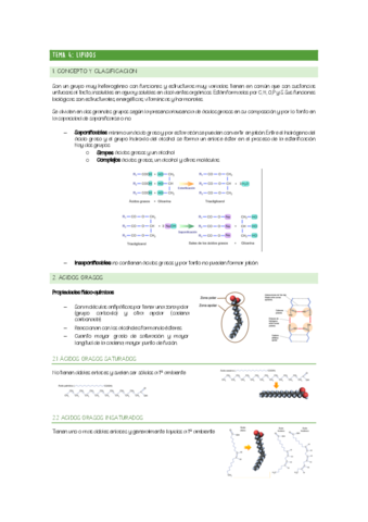 CHULETARIO-TEMA-4.pdf