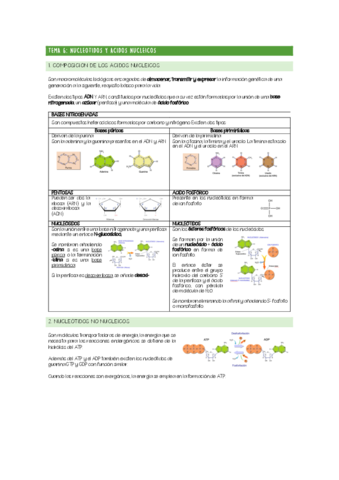 CHULETARIO-TEMA-6.pdf