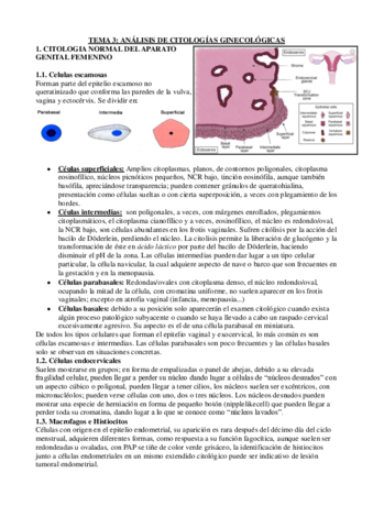 Apuntes-TM-3-cito-gine.pdf